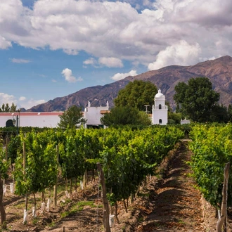 tourhub | Explore! | Wine and Landscapes of Argentina's Northwest 