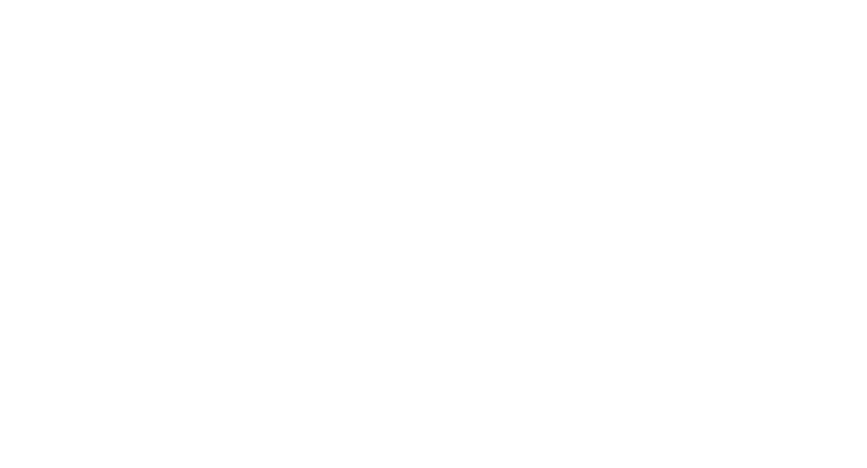 Stevenson Funeral Homes Logo