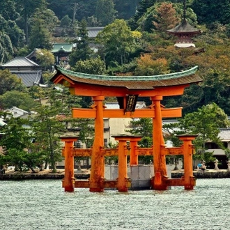 tourhub | The Dragon Trip | 12-Day Japan Family Adventure Tour 