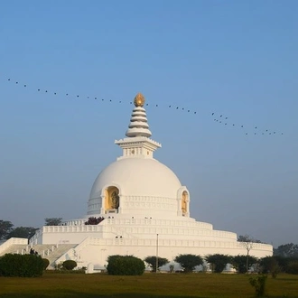 tourhub | Agora Voyages | Tracing the Footsteps of Lord Buddha 