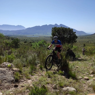 tourhub | Cape Adventure Brands | 2 Day Elgin Valley Mountain Bike Tour 