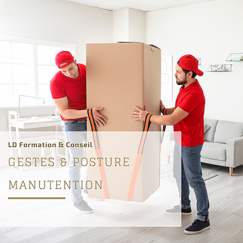 Représentation de la formation : Gestes & Postures - Manutention 