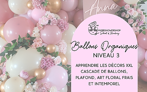 Représentation de la formation : #06 Ballons : Ballons organiques - Niveau 3