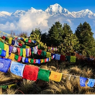 tourhub | Sherpa Expedition & Trekking | Annapurna Base Camp Trek 11 Days 