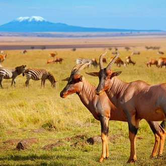 tourhub | Intrepid Travel | The Masai Heartlands 