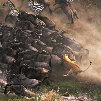 tourhub | Alaitol Safari | The Great Migration Safari 