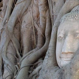 tourhub | On The Go Tours | Northern Thailand & Ancient Capitals - 6 days 