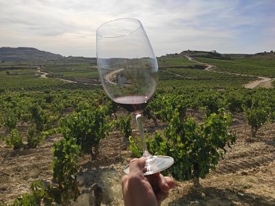 Tour de vinos Rioja: 2 Bodegas desde Bilbao en Semi-Privado con Recogida - Alojamientos en Bilbao