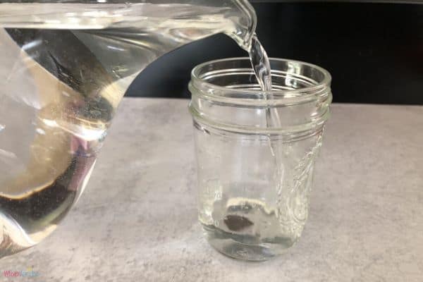 coin in water refraction experiment