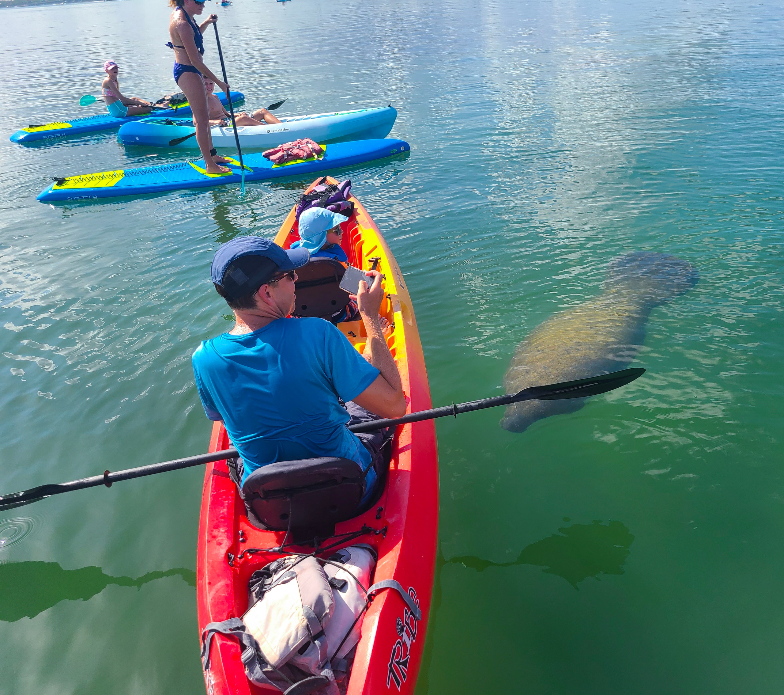 Mangroves and Secret Beach Kayak Tour