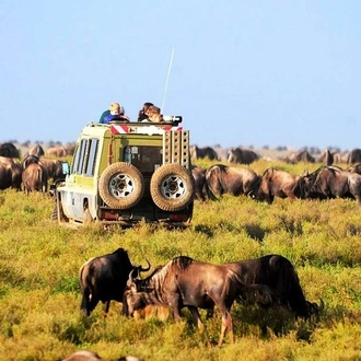 tourhub | Gracepatt Ecotours Kenya | 6-Day Tanzania Camping Safari: Lake Manyara, Serengeti, Ngorongoro Cater and Tarangire National Park from Arusha 