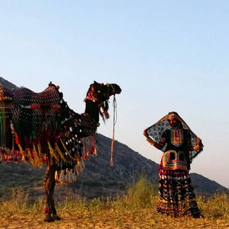 tourhub | Panda Experiences | Historical Rajasthan 