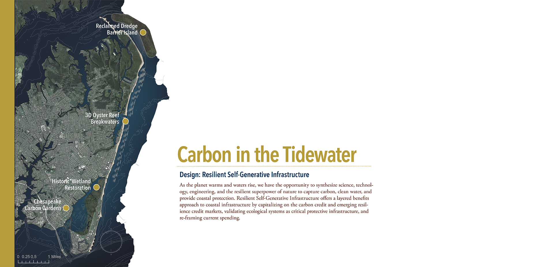 Carbon in the Tidewater