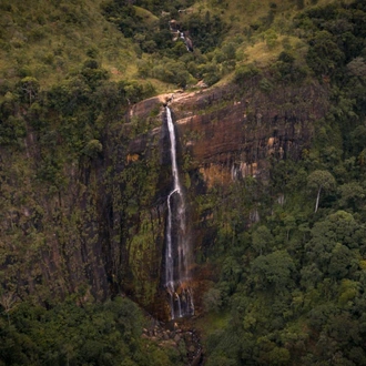 tourhub | Ceylon Travel Dream | 07 Day Nature & Wildlife Tour  In Sri Lanka 