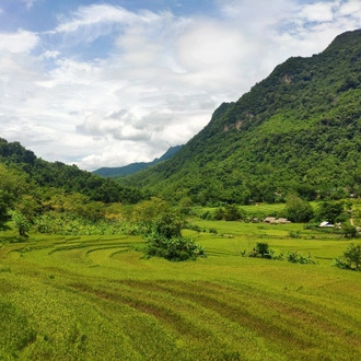 tourhub | Realistic Asia | Enthralling Vietnam in 13 Days - Luxury Private Tour 