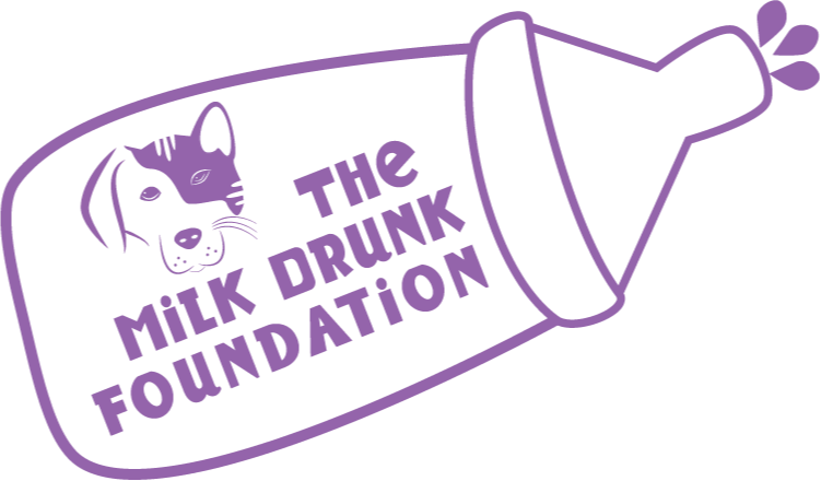 The Milk Drunk Foundation logo