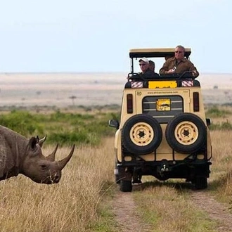 tourhub | Gracepatt Ecotours Kenya | 9-Days Best of Kenya & Tanzania Safari on 4x4 Land Cruiser Jeep 