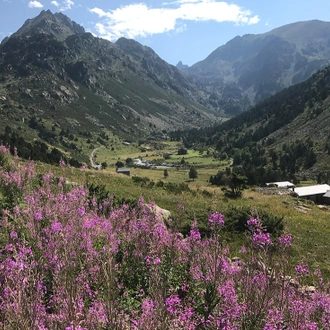 tourhub | Intrepid Travel | Summer Pyrenees Family Holiday with teenagers 