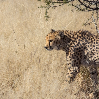 tourhub | G Adventures | Journeys: Wonders of Namibia 