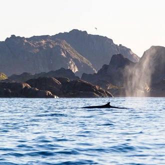 tourhub | Intrepid Travel |  Wild Fjords of South Greenland: Land of the Vikings 