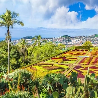 tourhub | Travel Editions | Gardens of Madeira Tour 