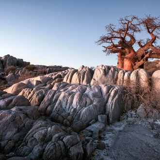 tourhub | G Adventures | Botswana and Falls Overland: Wildlife Walks & Safari Drives 