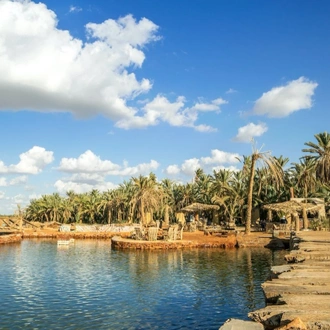 tourhub | Black Camel Tours | From Cairo: 6 Days Package to El Fayoum Oasis, White Desert and Bahariya Oasis 