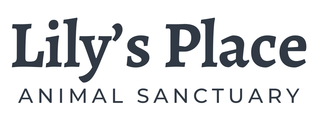 Lily's Place Animal Sanctuary logo