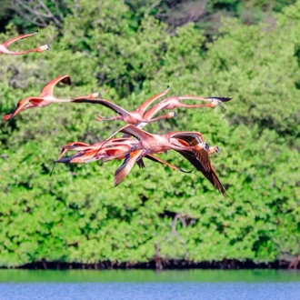 tourhub | Intrepid Travel | Best of Cuba 