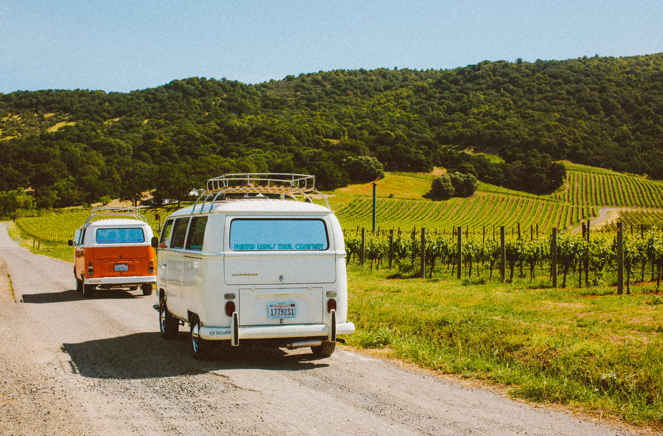 Insta-Worthy Wine Country Tour in Vintage VW Bus image 3