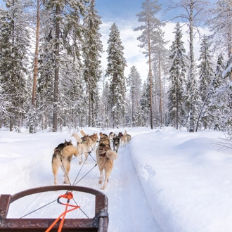 tourhub | Nordic Unique Travels | Finland and Norway – 7-Day Nordic Christmas Experience Tour 