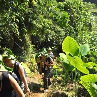 tourhub | Mr Linh's Adventures | 4-Day Jungle Trekking in Ba Be National Park 