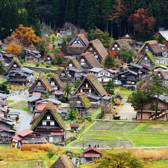 tourhub | Tweet World Travel | Japan In-depth Cherry Blossom Tour 