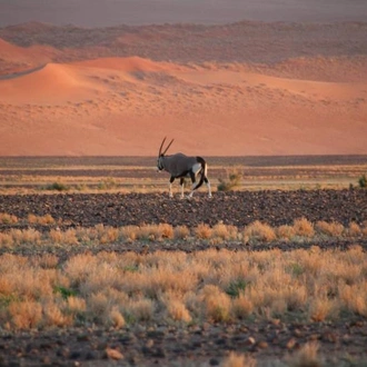 tourhub | Chameleon Safaris Namibia | 3 Day Sossusvlei Express Accommodated Safari 