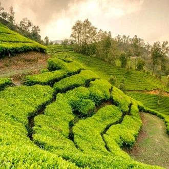 tourhub | Holidays At | Amazing Kerala 