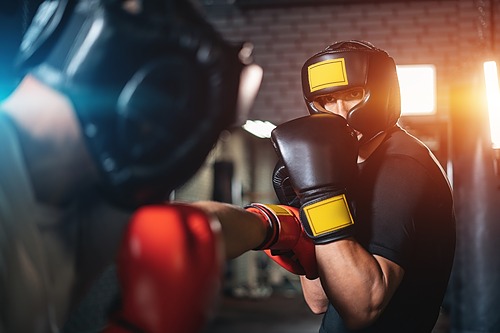 Représentation de la formation : Accompagnement partiel à la VAE en présentiel - BPJEPS Boxe - 20 Heures 