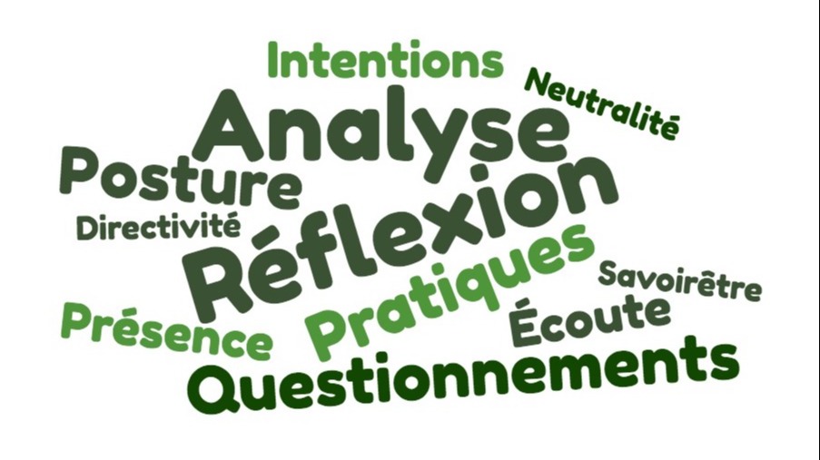 Représentation de la formation : Analyse de la pratique entre médiateurs (et autres professionnels de l'accompagnement relationnel)