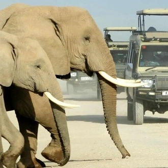 tourhub | Gracepatt Ecotours Kenya |  6 Days Rift Valley Lakes and Masai Mara Safari on 4x4 Jeep 