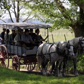 tourhub | Signature DMC | 2-Days and 1 Night in Areco 