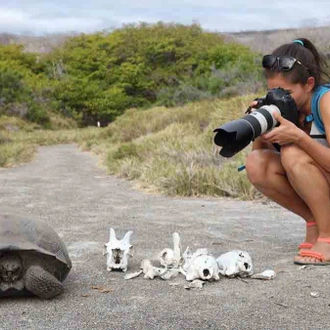 tourhub | Latin Trails | Galapagos Western, Central and Northern Islands Cruise 