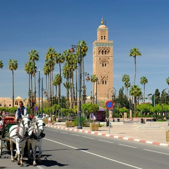 tourhub | Morocco Premium Tours | Moroccan Express: A 3-Day Adventure from Casablanca to Marrakech via Rabat, Fes, Volubilis, and Meknes. 