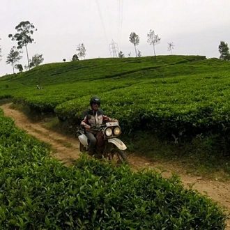 tourhub | Motor Trails | 10 Days Sri Lanka Highlights Guided Motorcycle Tour 