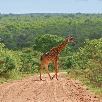 tourhub | Intrepid Travel | Wild Kruger Camping 