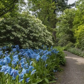 tourhub | Travel Editions | Gardens of The Scottish Borders Gardeners World Exclusive 