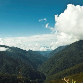 tourhub | Tangol Tours | 4-Day Manu National Park Tour: World Biosphere Reserve from Cusco 