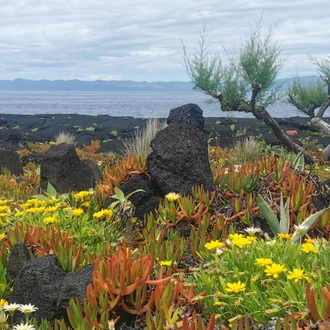 tourhub | Exodus Adventure Travels | Walking in the Azores 