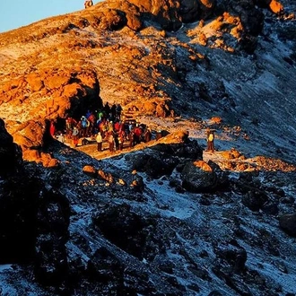 tourhub | Gracepatt Ecotours Kenya | 7 Days Mount Kilimanjaro Trekking through Umbwe Route  