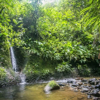 tourhub | Ecuador Galapagos Travels | 14 days Andean Cultures Ecuador 