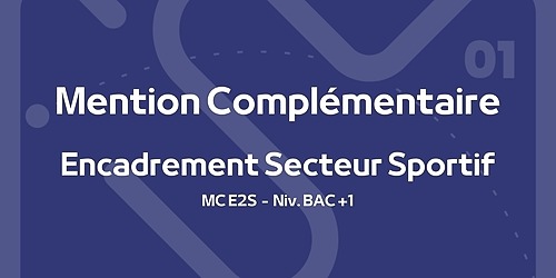 Représentation de la formation : MC Encadrement Secteur Sportif Option APT