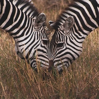 tourhub | Widerange African Safaris | 3 days Tanzania Sharing | Private Camping Safari package 